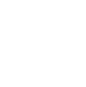 EU Logo